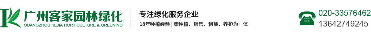 江西廣森家具有限公司